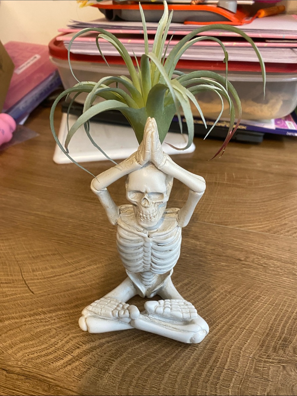 Yoga Skeleton Planter - White Skeleton Decorative Plant Holder